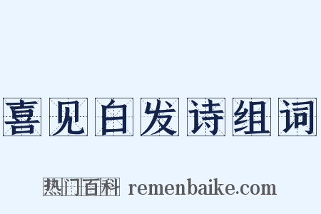 喜见白发诗组词是什么意思的图片